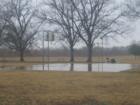 Basketball at Webberville Park