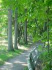 DeVeaux Woods is the last forest in a city in New York State.  Just minutes from the Falls this community enjoys Location! Location! Location!
