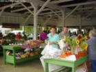 Farmers Market in Aiken