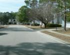 Typical View