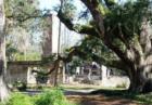 Sugar Mill Gardens