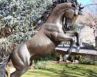 Tlaquepaque Horse, Sedona, AZ