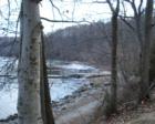 Winter scene in Pohick Bay Regional Park