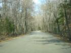 Wooded road through Mason Neck State Park ©2008.  Cindy Jones