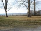 Waterside Views from Mason Neck State Park©2008.  Cindy Jones