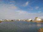 Evia Galveston Texas