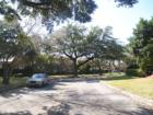 Oak lined and quiet streets in Cedar Lawn