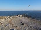 St. Mary's-by-the-Sea