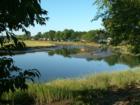 Ash Creek Tidal Estuary - Gilman Street