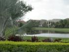 Versailles Landscaping