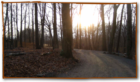 Walking trail in winter - Rockefeller Preserve, Sleepy Hollow, NY 10591