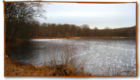 Swan Lake frozen - Rockefeller Preserve, Sleepy Hollow, NY 10591