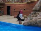 Sea World Orlando
      