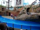 Sea World Orlando
      