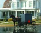 Amish Buggy in Quarryville, Pa