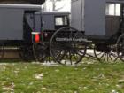 Amish Buggies in Quarryville, PA