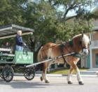 The Village Of Port Royal Horse and Buggy Tour