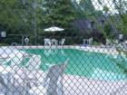 Finaley Forest Pool