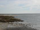 View of Intracoastal Waterway from Bermuda Bluff
