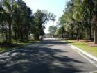 Typical view