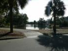 Typical view