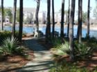 Typical View