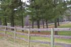 Buckhorn Farms - a horse boarding farm near the intersection of Hwy 64 and 751 on the outskirts of Apex, NC