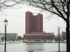 Looking across the harbor to the Intercontinental Hotel