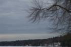 Windham, New Hampshire
      Cobbett Pond in Winter
      (c) 2008 Joan Whitebook