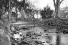 Another pix of Taylor Park...Enjoy!!!
