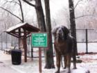 South Orange Dog Park in the Snow