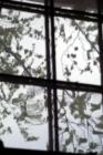 Ar120175272997214_l