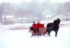 McKee Farms Park Sleigh Rally