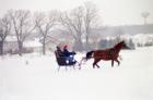 McKee Farms Park Sleigh Rally