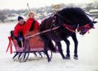 McKee Farms Park Sleigh Rally