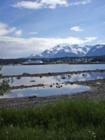 This photo of "downtown" Haines shows the dramatic Chilkat Mountain Range dwarfing the community.  Note the huge cruise ship!