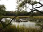 Marsh off of North Breeze Island