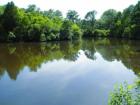 Beautiful lake on Coosaw Island on Palmetto Grove Lane