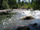 Hood River at Tucker Park