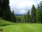 Skamania Lodge green