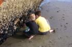The boys playing with the sealife that has made it's home on the shell of the ship wreck near Astoria and Fort Stevens State park.