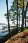Backyard view of Battery Creek
