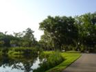 Pond at Habersham