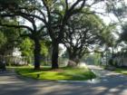 Roadway center divide at Habersham
