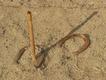 Horseshoes