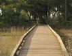 Walking Trail Bridge