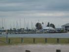 Beautiful Davis Island water side