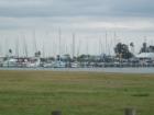 Beautiful Davis Island