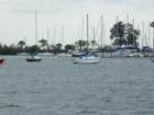 Beautiful Davis Island