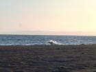 Kekaha Beach